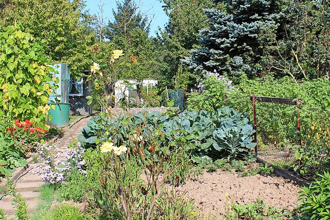 Erst Die Warteliste Dann Der Schrebergarten Stimme De