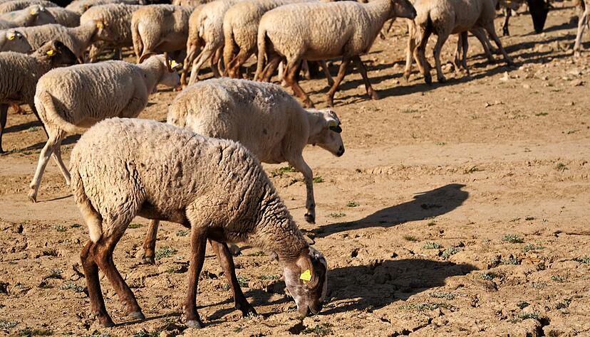 Die Serie schwerer Winterst&uuml;rme mit Starkregen trifft eine Region, die sonst unter Wassermangel leidet.