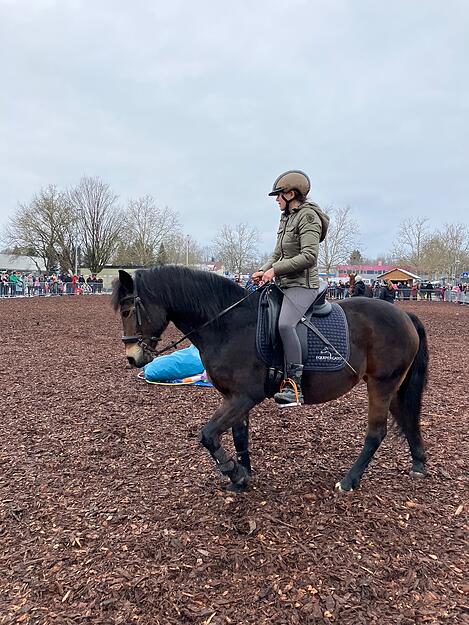 Der Öhringer Pferdemarkt am Sonntag lockte mit Ponys, Landmaschinen und vielen Verkaufsständen zahlreiche Besucher an.