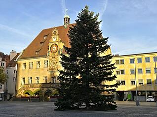 Seit Mittwochvormittag steht der Weihnachtsbaum auf dem Marktplatz.