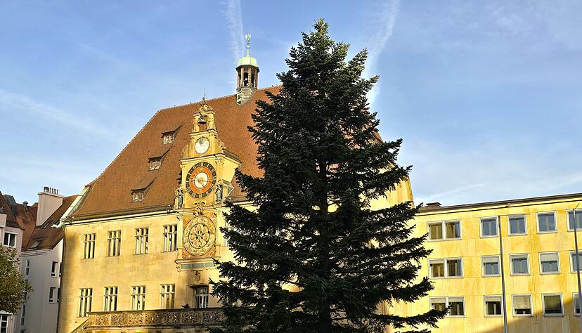 Seit Mittwochvormittag steht der Weihnachtsbaum auf dem Marktplatz.