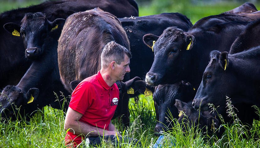Je weniger Rinder, desto weniger Treibhausgase: Diese Formel ist zu kurz gedacht.