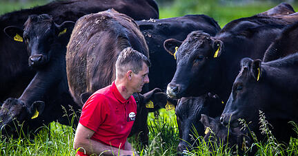Je weniger Rinder, desto weniger Treibhausgase: Diese Formel ist zu kurz gedacht.