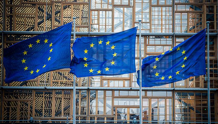 Innerhalb der EU müsse mehr zusammengerückt werden – doch es scheitert an mehreren Punkten. Innerhalb der EU müsse mehr zusammengerückt werden – doch es scheitert an mehreren Punkten.