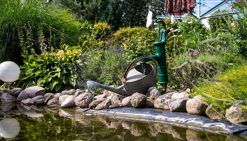 Der Winter hinterlässt Spuren am Teich. Jetzt ist der richtige Zeitpunkt, Ufer und Randbereiche in Ordnung zu bringen. Der Winter hinterlässt Spuren am Teich. Jetzt ist der richtige Zeitpunkt, Ufer und Randbereiche in Ordnung zu bringen.