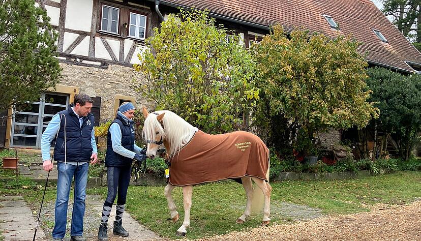 Jürgen und Dana Sturm haben die Siegerstute vorgeführt. Mit 54 Anmeldungen hat der Dörzbacher Herbstpferdemarkt wieder zugelegt. Jürgen und Dana Sturm haben die Siegerstute vorgeführt. Mit 54 Anmeldungen hat der Dörzbacher Herbstpferdemarkt wieder zugelegt.