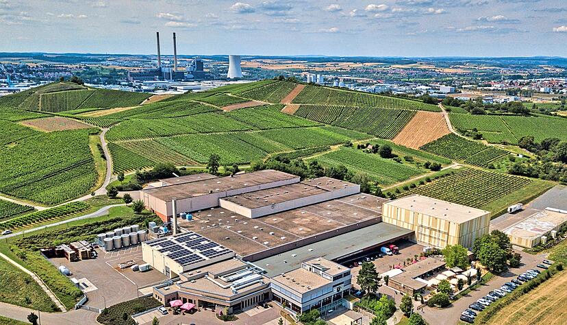 Kaum zu glauben: Der Gro&szlig;teil des Betriebsareals an der Binswanger Stra&szlig;e geh&ouml;rt nicht der Genossenschaft, sondern der katholischen Kirche.
Fotos: Holger Guenther/WG Heilbronn