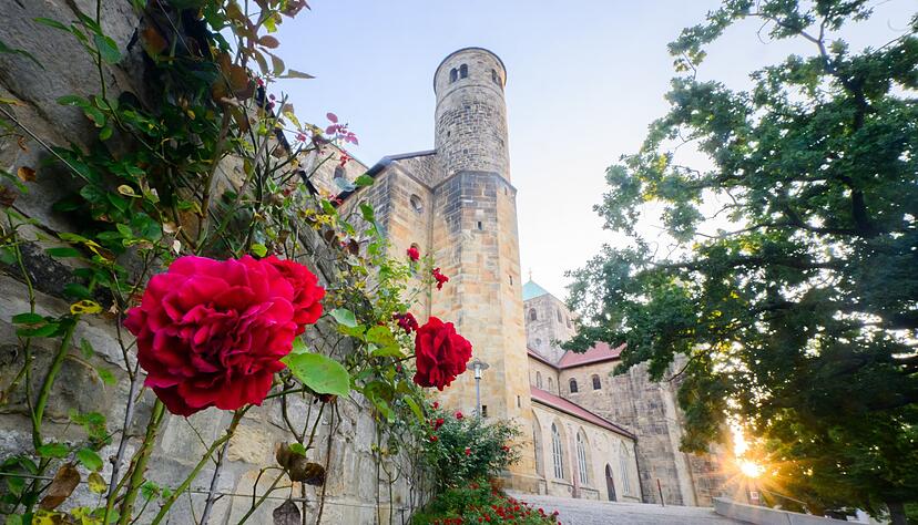 Die St. Michaeliskirche gehört zum Unesco-Weltkulturerbe in Hildesheim. (Archivbild) Die St. Michaeliskirche gehört zum Unesco-Weltkulturerbe in Hildesheim. (Archivbild)