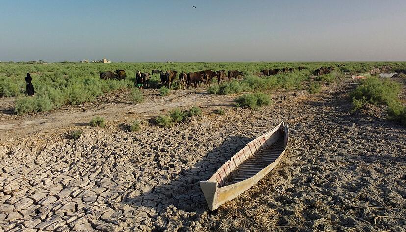 Der s&uuml;dliche Irak k&ouml;nnte wegen Wasserknappheit bald unbewohnbar werden.