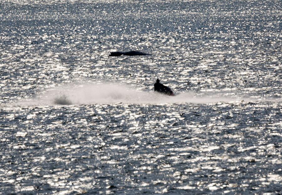 Die Zeit dr&auml;ngt, weil der Wasserstand sinkt.