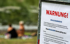 Treten im Badesee vermehrt Blaualgen auf, werden Warnschilder aufgestellt.
