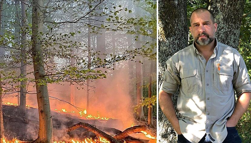 Am vergangenen Samstag kam es im Heilbronner Stadtwald zu einem Flächenbrand. Alexander Held ist Feuerökologe am European Forest Institute in Bonn.