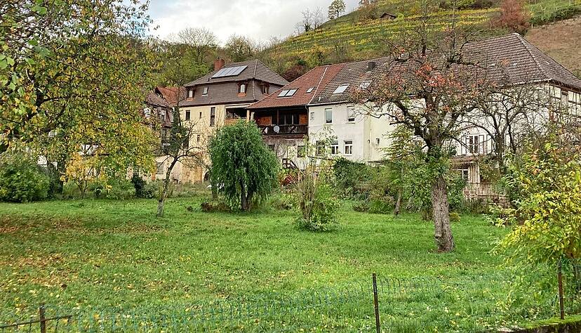 Auf dieser Fl&auml;che am Ingelfinger Kelterweg planen der Kreis und die Stadt eine gemeinsame Containeranlage, die zwischen 64 und 128 Fl&uuml;chtlinge aufnehmen kann und beiden Bedarfen gerecht wird. Sie soll bis Fr&uuml;hjahr 2024 bezugsfertig sein.
Foto: Reichert