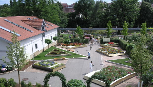 Blumensommer Nordheim