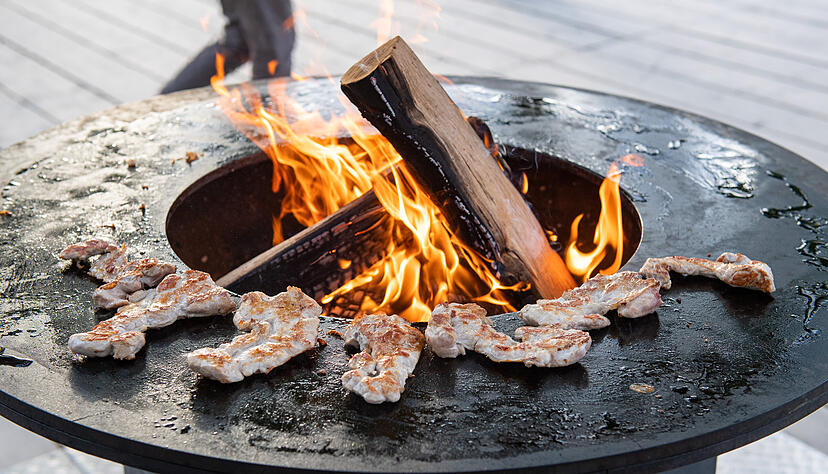 Lesersommer: BBQ- und Zerlegeseminar mit drei Fleischsommeliers auf der Buga