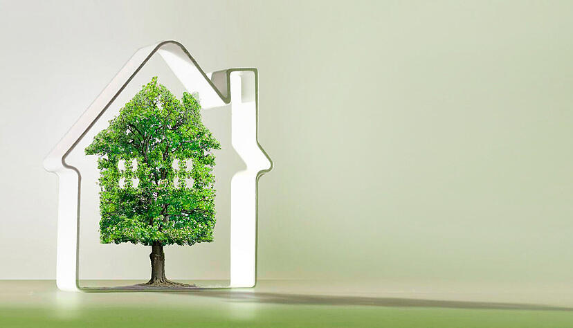Foto: guy7stock.adobe.com