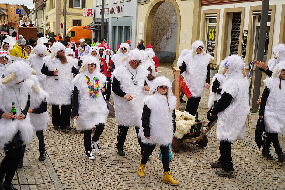 Leiergassenumzug in Eppingen Leiergassenumzug in Eppingen
