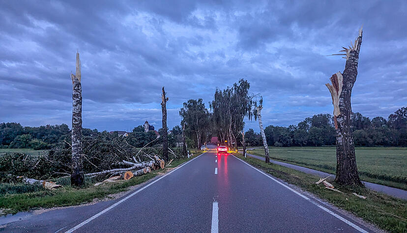 Abgeknickte Bäume säumen nach einem Gewitter den Straßenrand. Vor allem Ulm traf das Unwetter besonders stark.