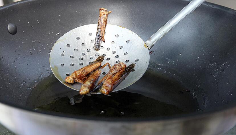 Streetfood Festival | 10.-12.07