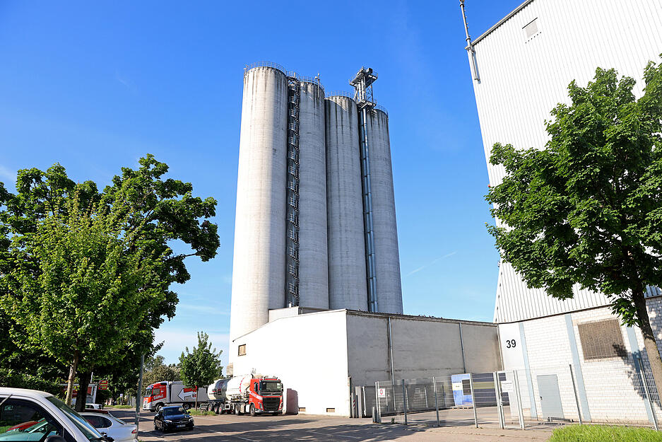 Die jungen Wanderfalken werden in einem Nest auf einem 60 Meter hohen Silo gro&szlig;gezogen.