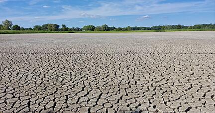 Wegen Wassermangels kann der Fluss Plane in Brandenburg die angelegten Fischteiche nicht mehr speisen.