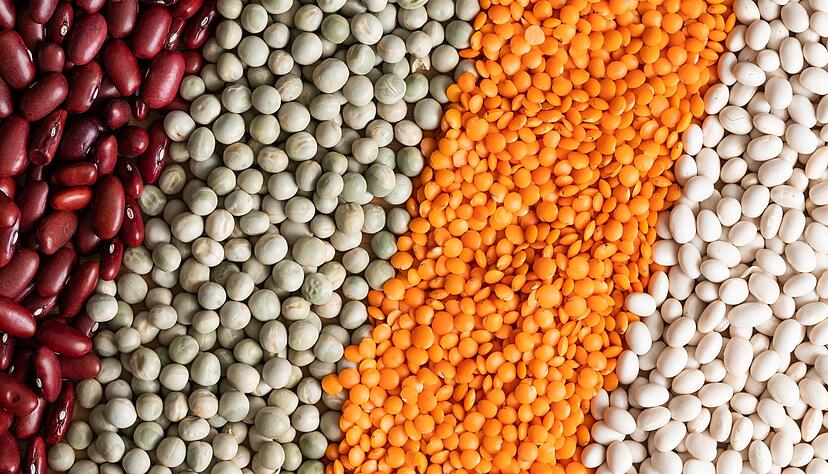 Die Kombination verschiedener pflanzlicher Eiwei&szlig;quellen sorgt daf&uuml;r, dass alle essenziellen Aminos&auml;uren aufgenommen werden.