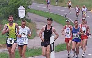Viele Läufer aus Süddeutschland sehnen sich die 20. Auflage des Trollinger-Marathons herbei. Viele Läufer aus Süddeutschland sehnen sich die 20. Auflage des Trollinger-Marathons herbei.