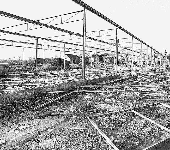 Ein Gewächshaus bei Horkheim lag nach dem Durchzug von Orkan Lothar in Trümmern. Ein Gewächshaus bei Horkheim lag nach dem Durchzug von Orkan Lothar in Trümmern.