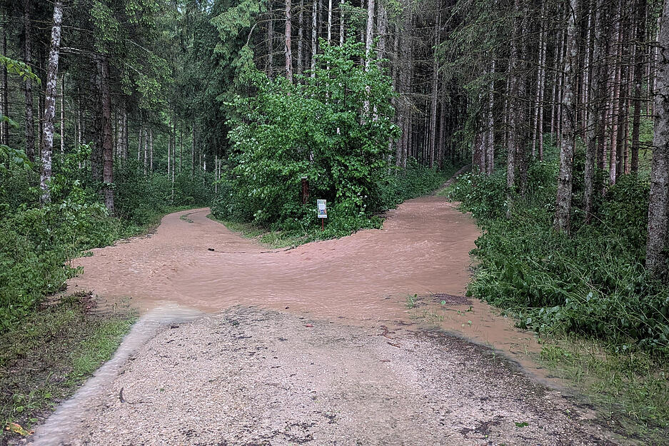 Meist blieb es bei kleineren Schäden, das die Unwetter hinterlassen haben. Meist blieb es bei kleineren Schäden, das die Unwetter hinterlassen haben.