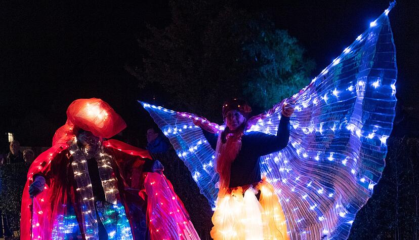Als m&auml;rchenhafte Lichtgestalten &uuml;berraschen die Mitglieder des Vereins Artificium Eppingen die Besucher ihres Stands.