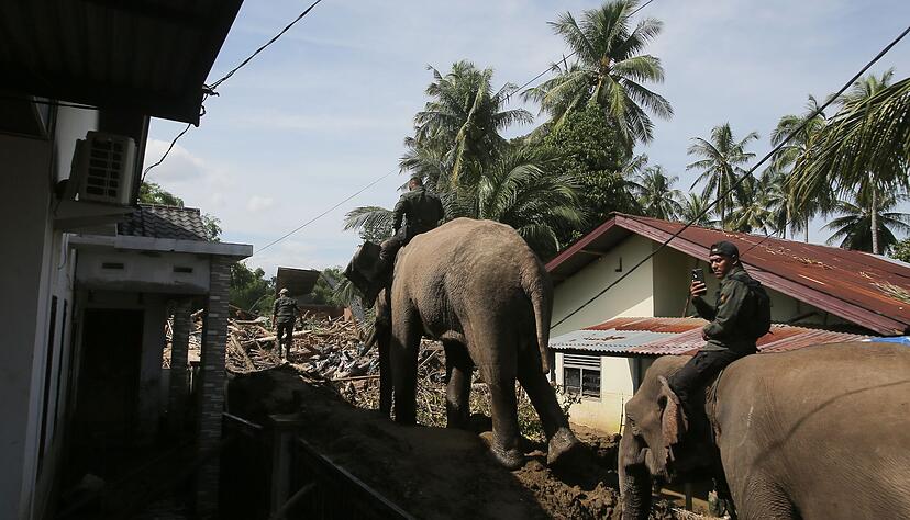 In den betroffenen Gebieten im Norden Sumatras gibt es stellenweise nur f&uuml;r Elefanten ein Durchkommen.