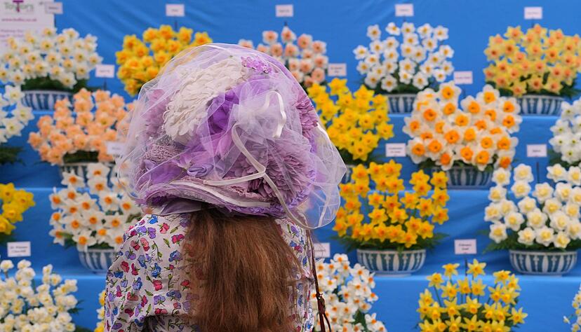 Chelsea Flower Show: Sehen und gesehen werden.