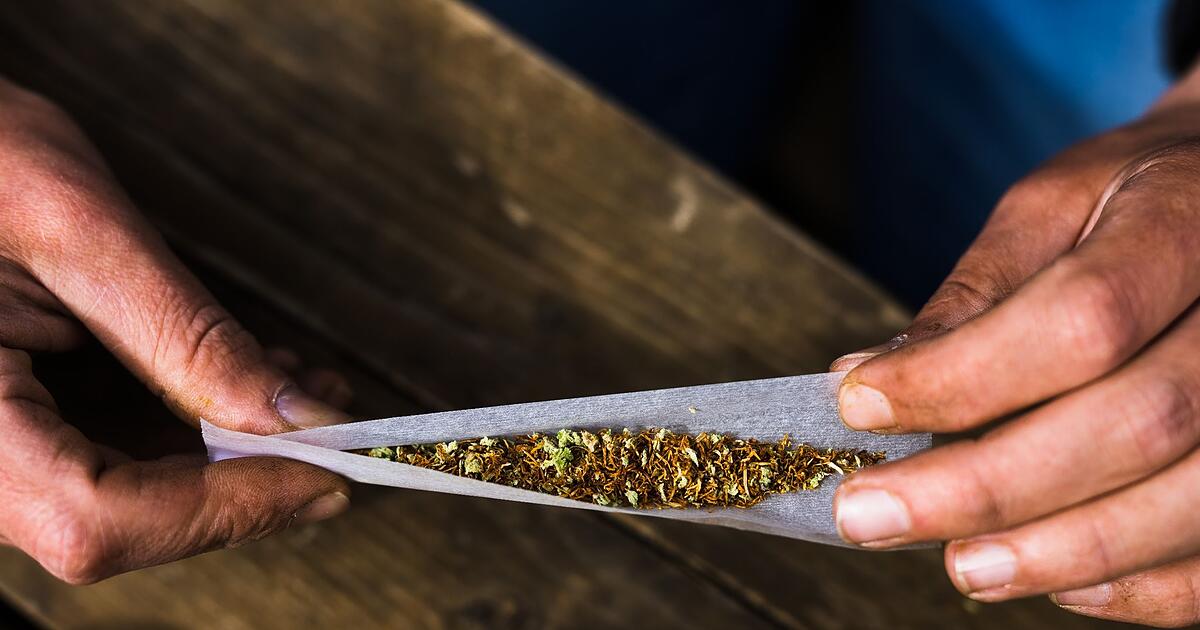 CannabisLegalisierung Ab wann die Änderungen gelten sollen STIMME.de