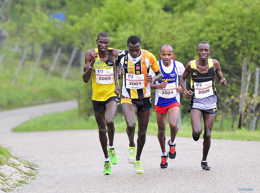 Trollinger Marathon: Marathon und Halbmarathon | 7.5.