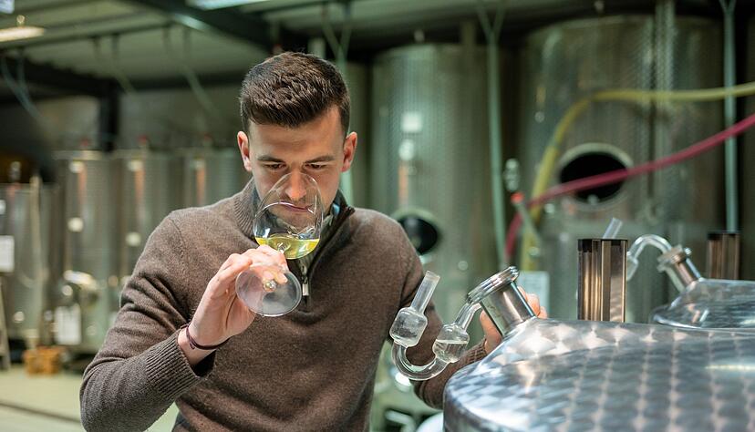 Winzer Carlo Schmitt steht mit einem Glas Wein im Weinkeller. Der 24-jährige führt den Weinbaubetrieb nach dem plötzlichen Tod seines Vaters weiter. Winzer Carlo Schmitt steht mit einem Glas Wein im Weinkeller. Der 24-jährige führt den Weinbaubetrieb nach dem plötzlichen Tod seines Vaters weiter.