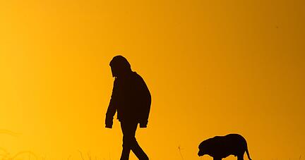 Ein Mann spaziert mit einem Hund bei Sonnenaufgang über einen Feldweg. Ein Mann spaziert mit einem Hund bei Sonnenaufgang über einen Feldweg.