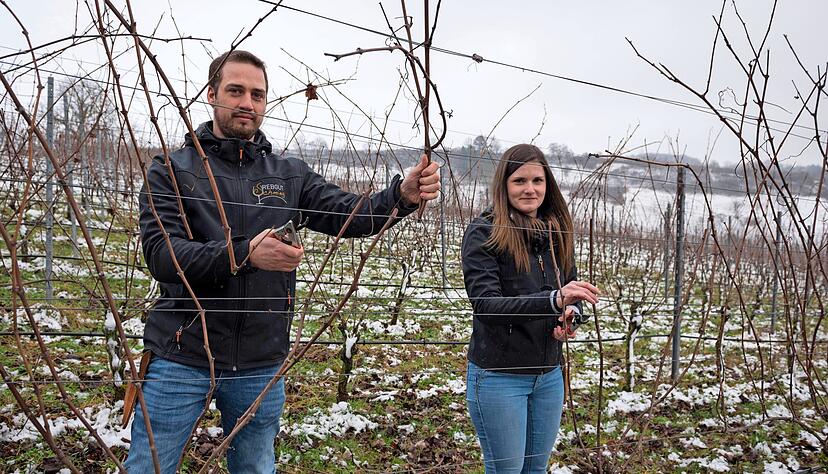 Mit dem Rebschnitt auch im Februar noch gut besch&auml;ftigt: die Nebenerwerbswinzer Marcel Schmieg und Katja Wunderlich im Weinberg in Klepsau.
Fotos: Andreas Scholz