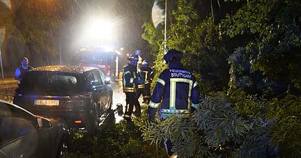 Einsatzkräfte der Feuerwehr räumen durch starken Wind herabgefallene Äste auf.