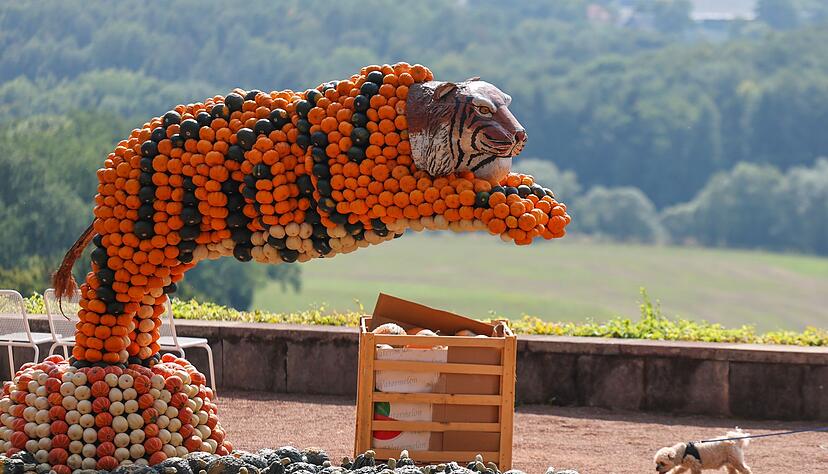 Das Festival läuft bis zum 2. November. Das Festival läuft bis zum 2. November.