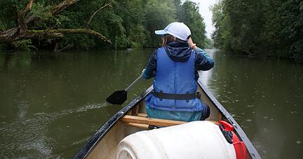 Urige Natur: Die Tour auf dem Kocher im Kanadier war bei leichtem Nieselregen ein Gleiten durch eine besondere grüne Oase. 
Fotos: Carsten Friese