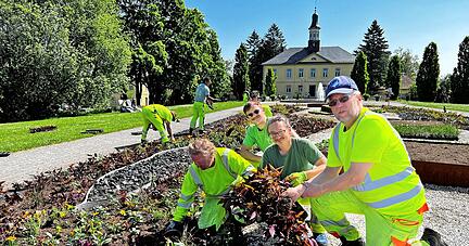 Andr&eacute; Kolb, stellvertretender Bauhofleiter, mit den Mitarbeitern Michael Zeh, Frederic Br&uuml;chmann und Rentner Michael Hockenberger (von links).
Foto: Ulrike Plapp-Schirmer