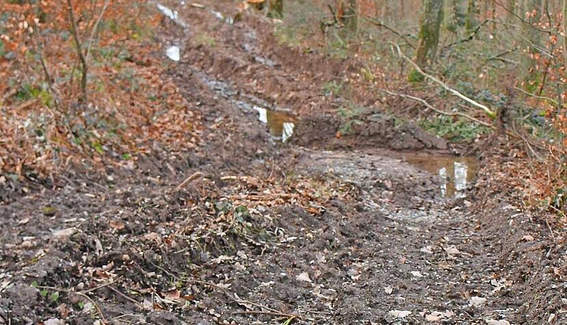 Tiefe Fahrspuren und Pfützen im Maschinenweg im Staatswald auf Obersulmer Gemarkung: Der vom vielen Regen durchnässte Waldboden erschwert die Holzernte. Tiefe Fahrspuren und Pfützen im Maschinenweg im Staatswald auf Obersulmer Gemarkung: Der vom vielen Regen durchnässte Waldboden erschwert die Holzernte.