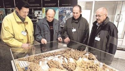 Von ihrer Jugend an haben sie sich f&uuml;r Technik und f&uuml;r das DLR interessiert (von links): Walter Weippert, Adolf Frank, Kurt Reichert und Rolf Rosenberger.Foto: Guido Sawatzki