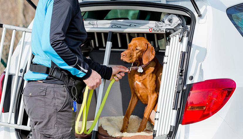 Zur Sicherheit: Vor dem Aussteigen sollte man den Hund anleinen, damit er nicht einfach auf eine befahrene Stra&szlig;e st&uuml;rmt.