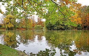 Der Schachtsee ist ein beliebtes Ausflugsziel. Mit Kocherwald und Plattenwald hat die Stadt weitere grüne Oasen zu bieten. Der Schachtsee ist ein beliebtes Ausflugsziel. Mit Kocherwald und Plattenwald hat die Stadt weitere grüne Oasen zu bieten.