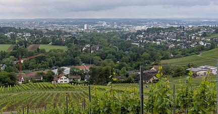 Im Osten von Heilbronn verzahnen sich Stadt und Natur: zwischen Weinbergen und Weingütern, Sportanlagen und Parks sowie &minus; nicht überall gelungenen &minus; Häusern mit Gärten.
Foto: Mario Berger