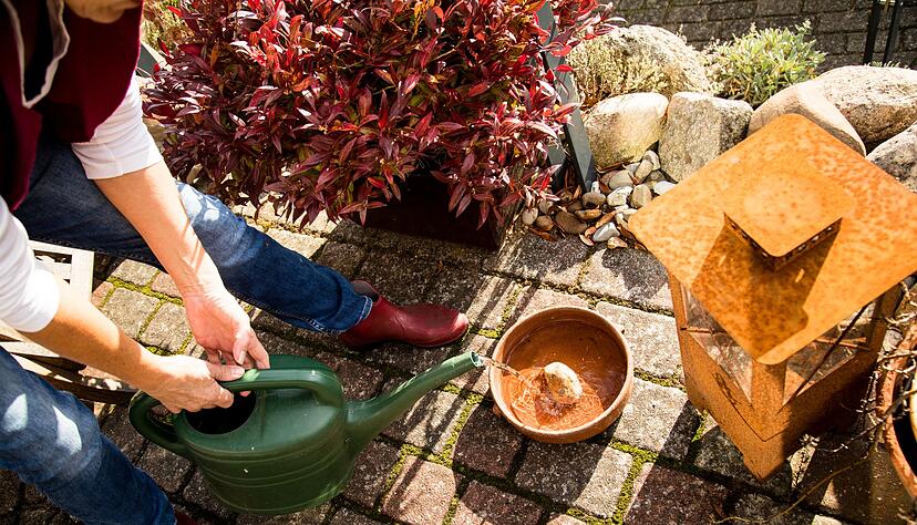 Flache Wasserschalen mit Ausstiegshilfe versorgen Insekten, V&ouml;gel und Co. an hei&szlig;en Tagen.