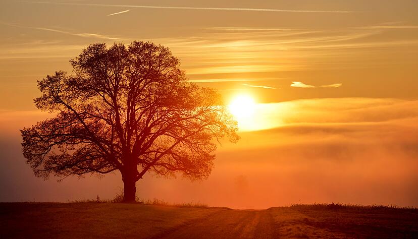 In höheren Lagen kann sich auch die Sonne zeigen. In höheren Lagen kann sich auch die Sonne zeigen.
