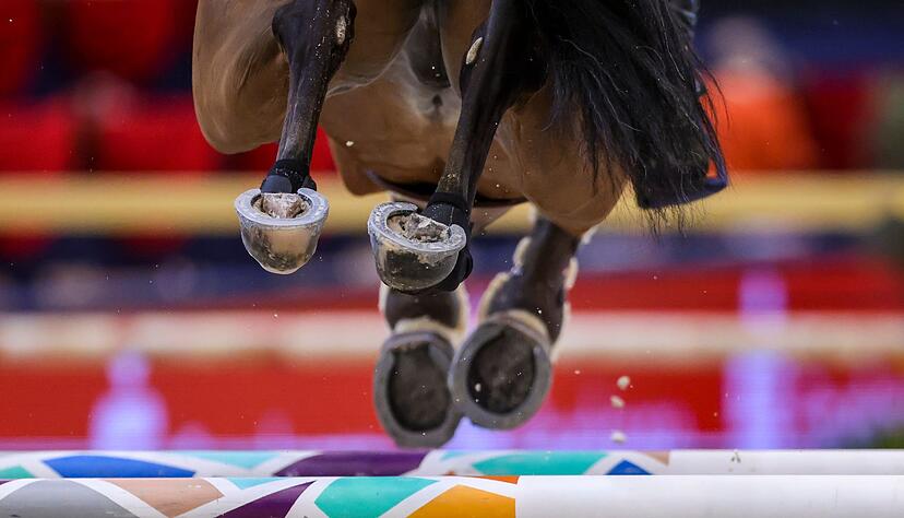 Beim Weltcup-Finale in Riad starb nach dem zweiten Springen ein Pferd.
