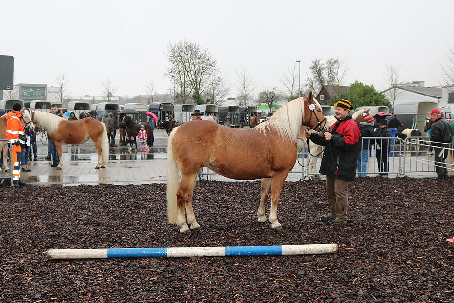 Foto: Bettina Hachenbergg